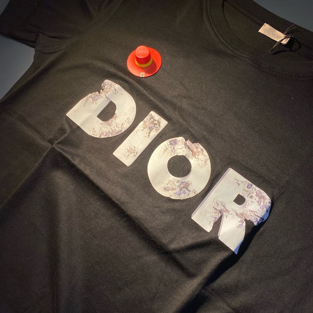 Dior Daniel Arsham Logo T-Shirt